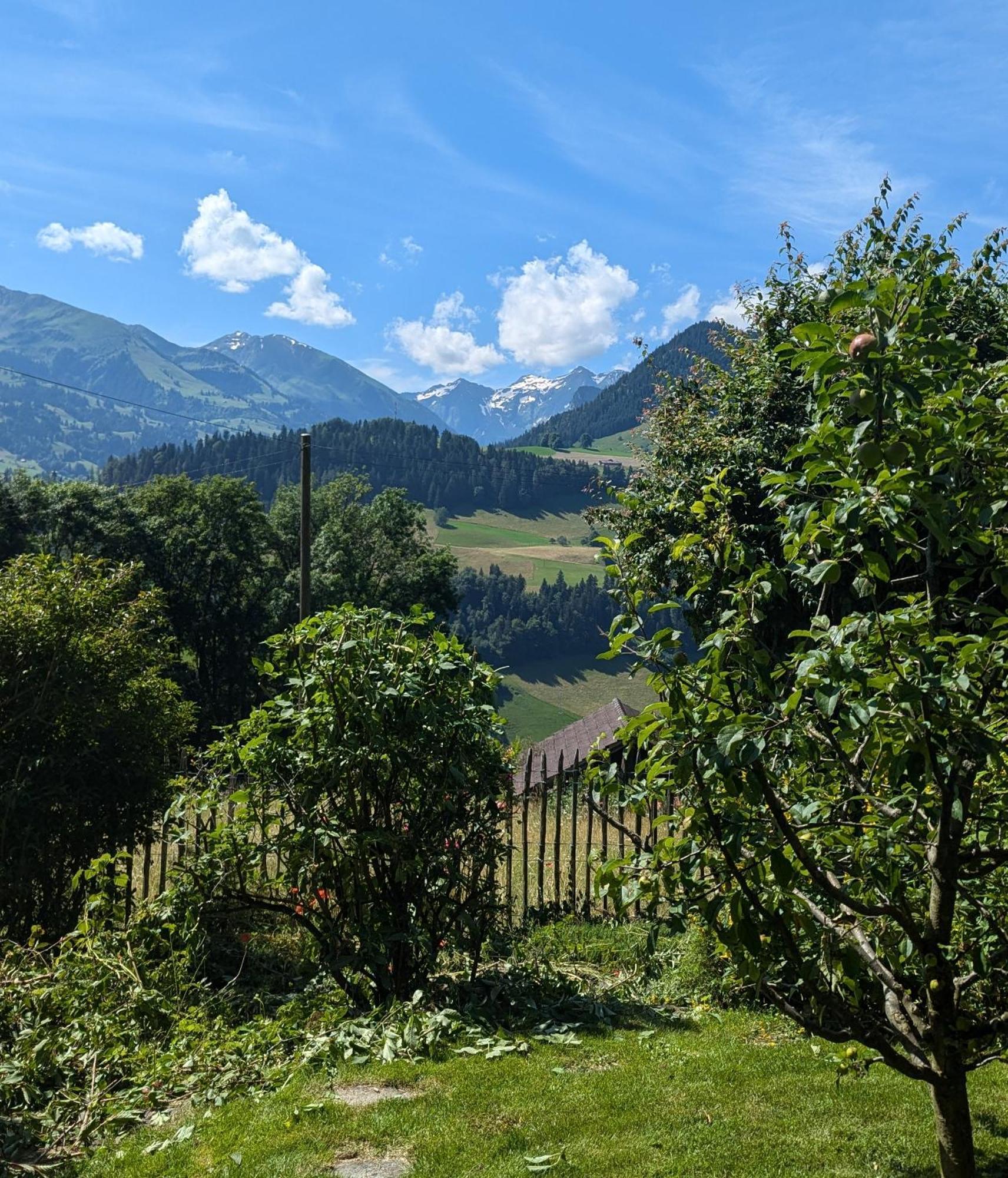Swiss Mountain-Valley View Lodge Erlenbach im Simmental Exteriér fotografie