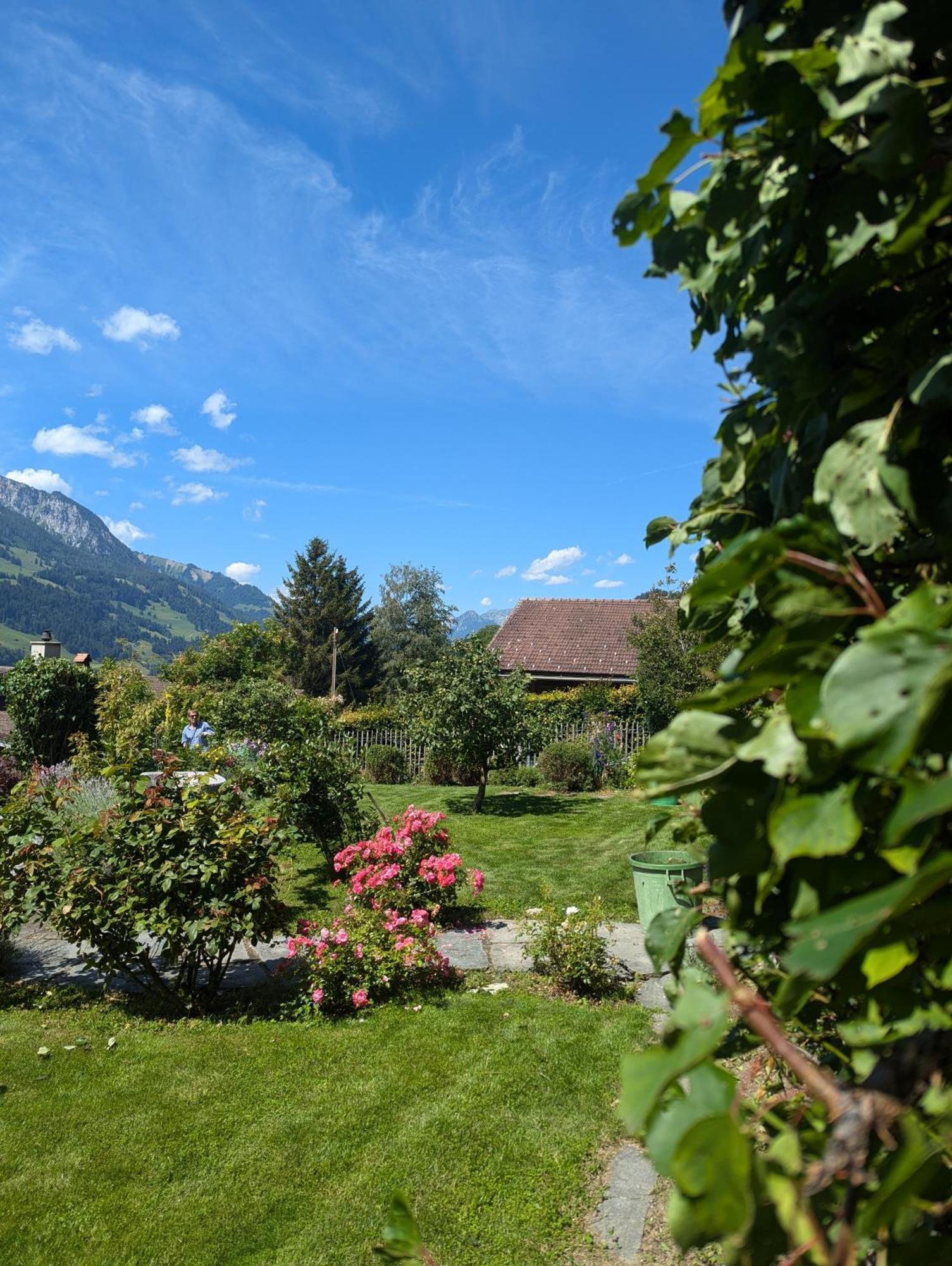 Swiss Mountain-Valley View Lodge Erlenbach im Simmental Exteriér fotografie