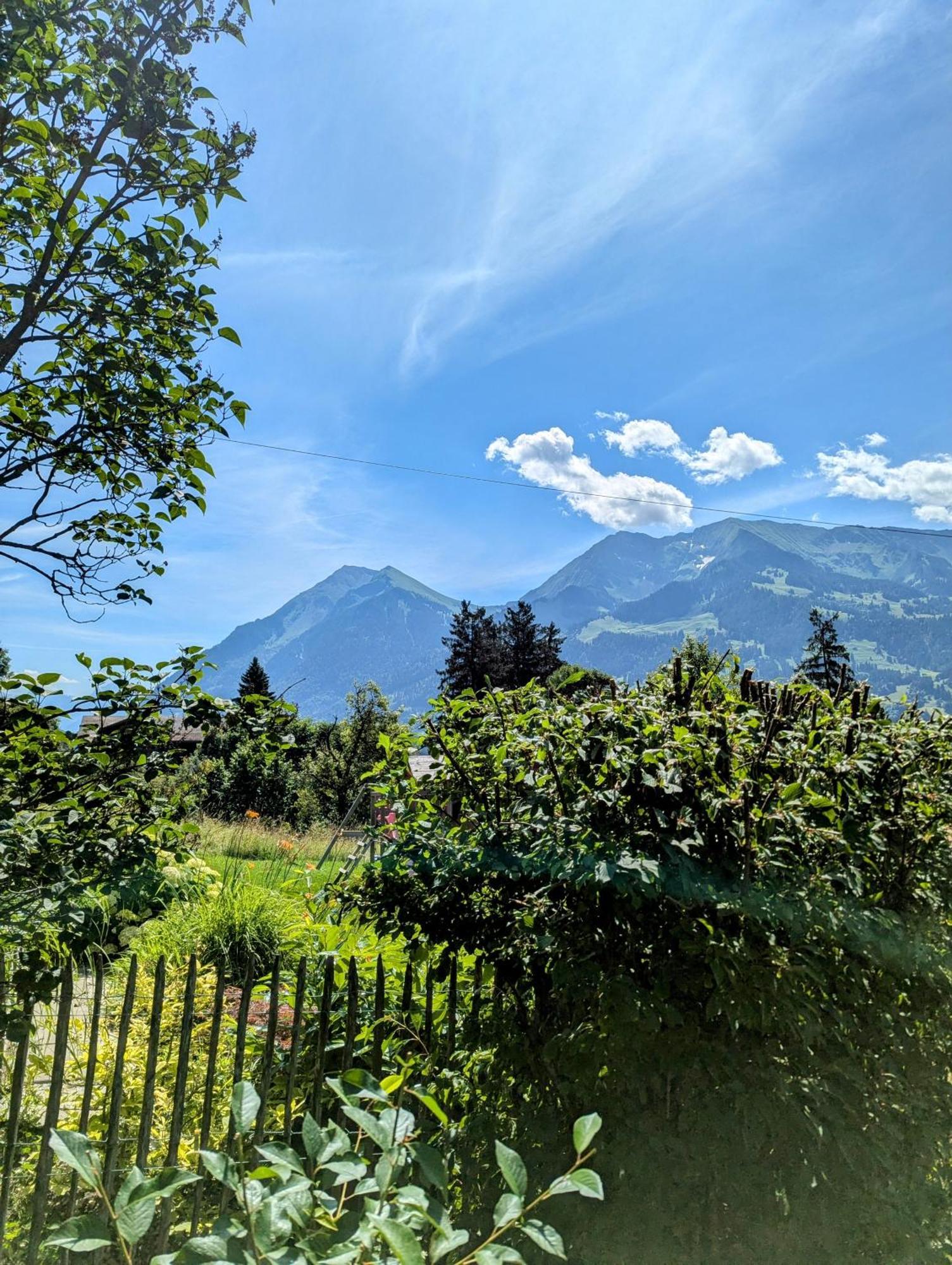 Swiss Mountain-Valley View Lodge Erlenbach im Simmental Exteriér fotografie