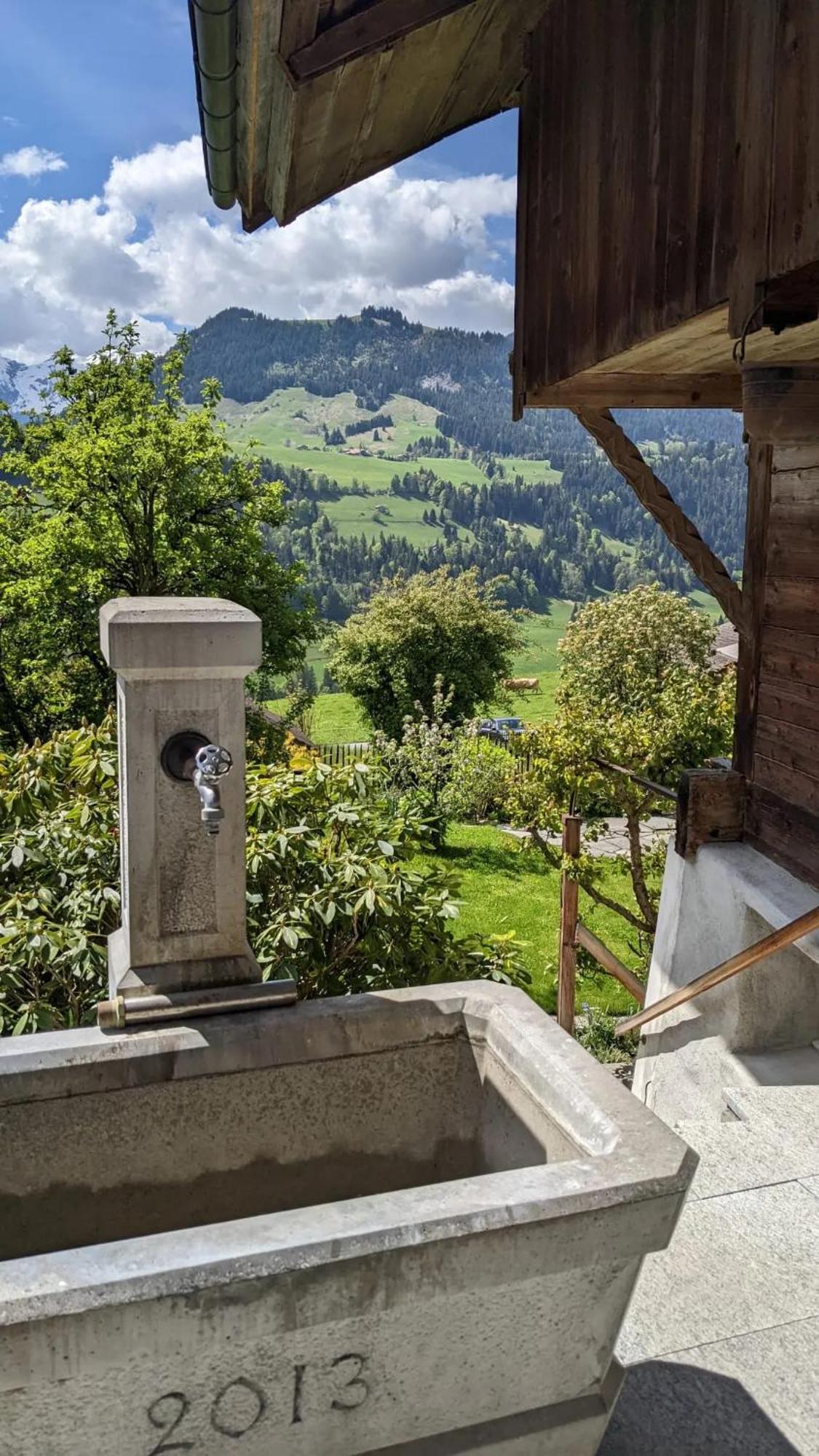 Swiss Mountain-Valley View Lodge Erlenbach im Simmental Exteriér fotografie