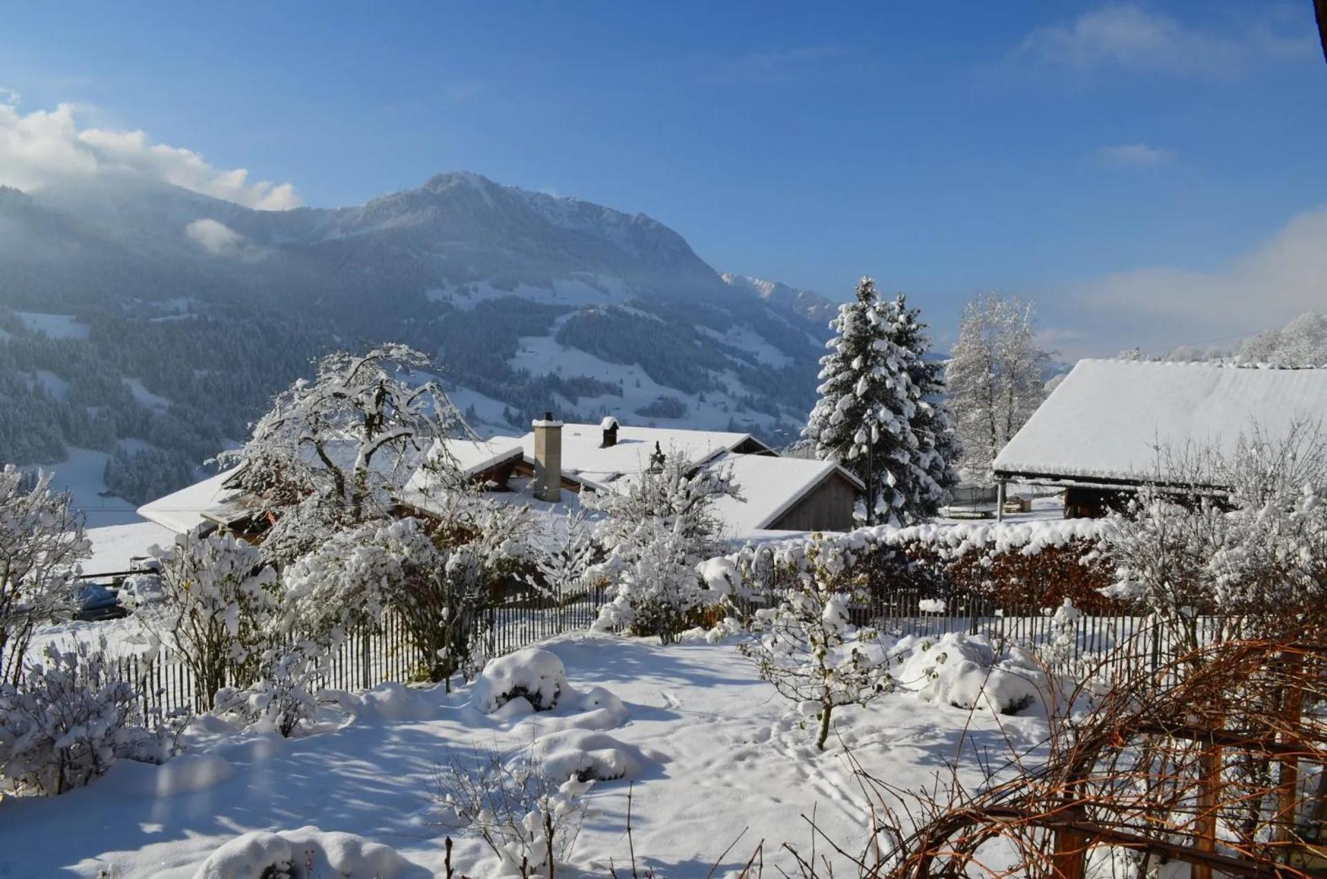 Swiss Mountain-Valley View Lodge Erlenbach im Simmental Exteriér fotografie