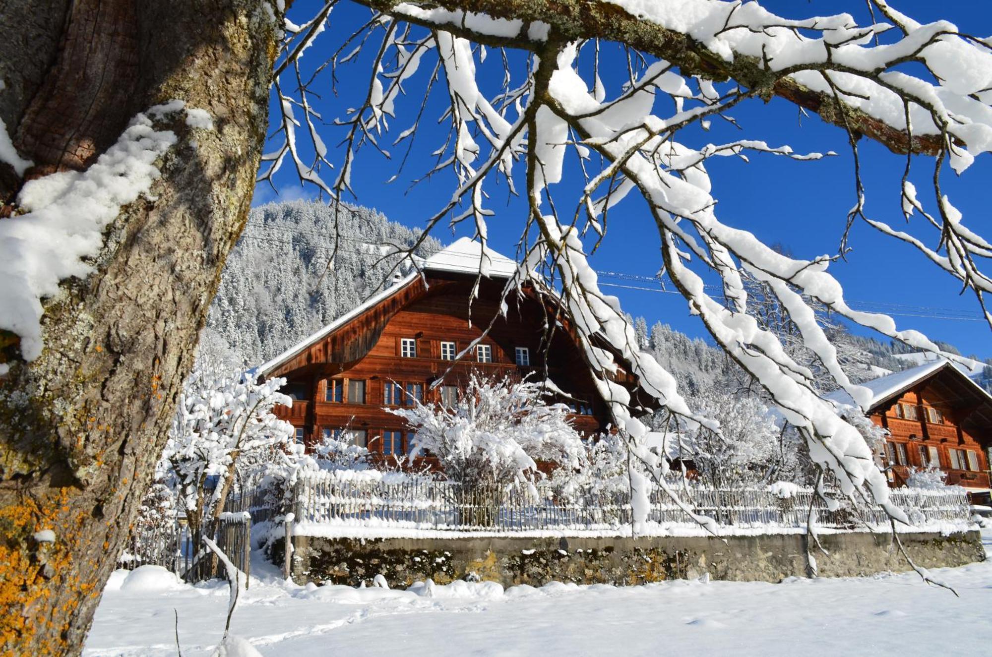 Swiss Mountain-Valley View Lodge Erlenbach im Simmental Exteriér fotografie